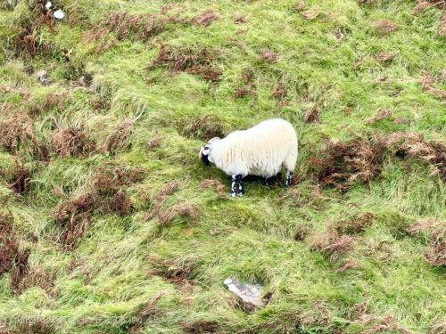 2025UnitedKingdom 591