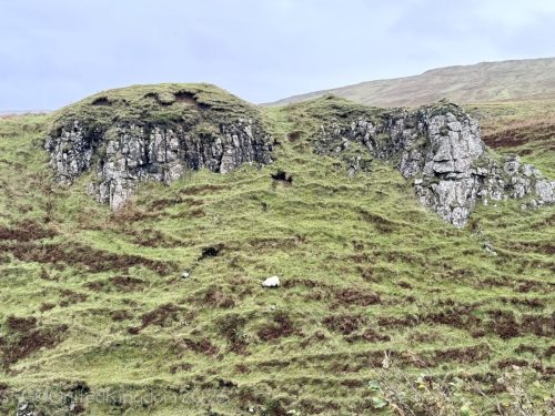 2025UnitedKingdom 592