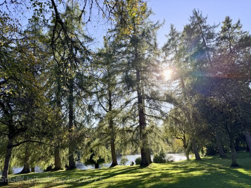 2025UnitedKingdom 655