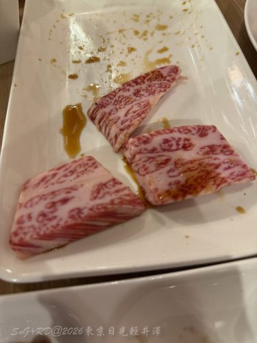 2026東京日光輕井澤 016