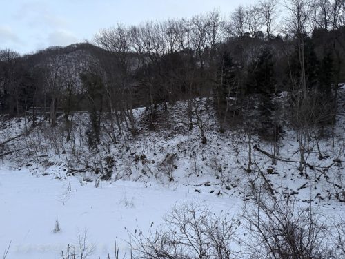 2026東京日光輕井澤 049