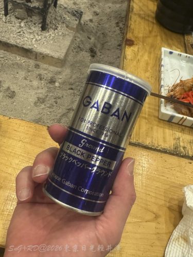 2026東京日光輕井澤 070