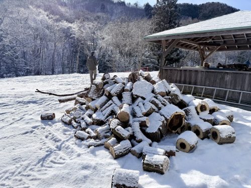 2026東京日光輕井澤 097