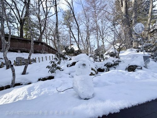 2026東京日光輕井澤 101