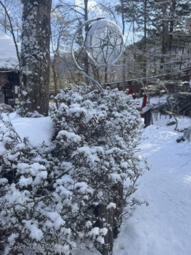 2026東京日光輕井澤 102