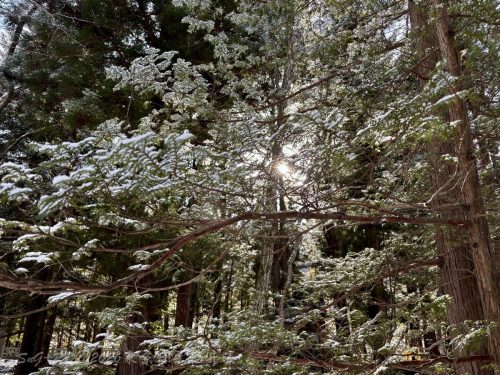 2026東京日光輕井澤 107