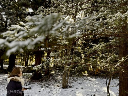 2026東京日光輕井澤 109