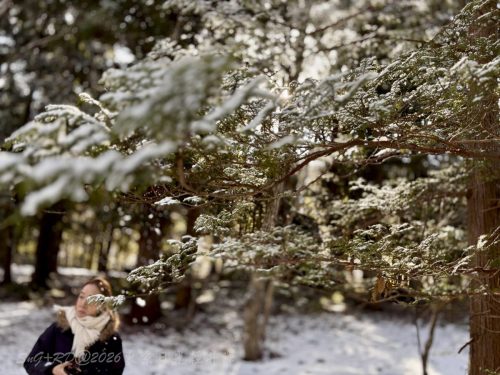 2026東京日光輕井澤 110