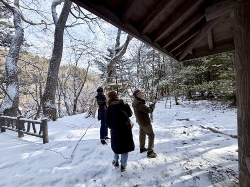 2026東京日光輕井澤 111