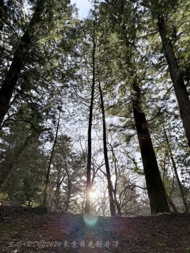 2026東京日光輕井澤 169