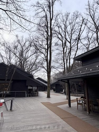 2026東京日光輕井澤 223