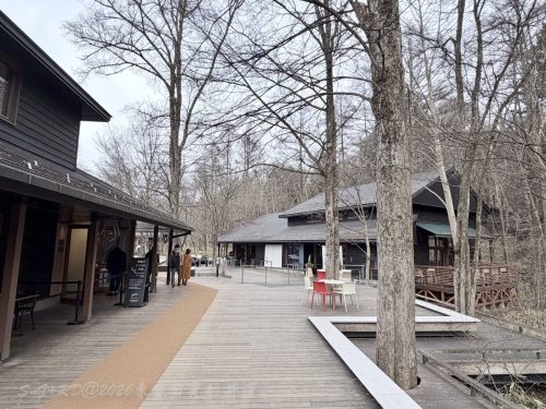 2026東京日光輕井澤 224