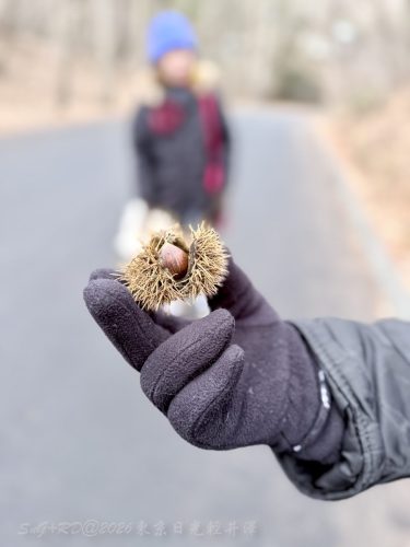 2026東京日光輕井澤 228