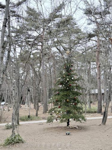 2026東京日光輕井澤 238