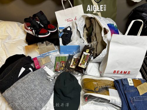 2026東京日光輕井澤 258