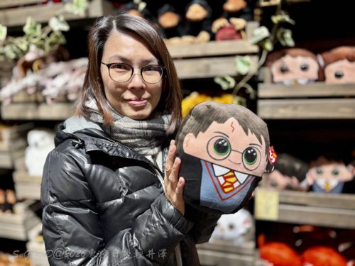 2026東京日光輕井澤 310