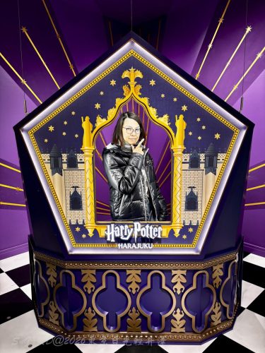 2026東京日光輕井澤 311