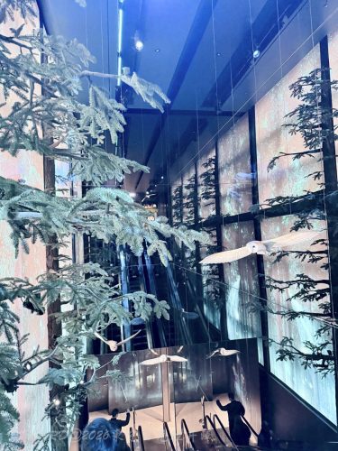 2026東京日光輕井澤 312