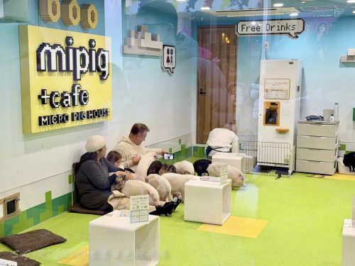 2026東京日光輕井澤 323