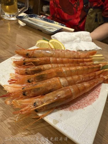 2026東京日光輕井澤 333