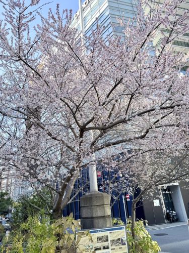 2026東京日光輕井澤 382