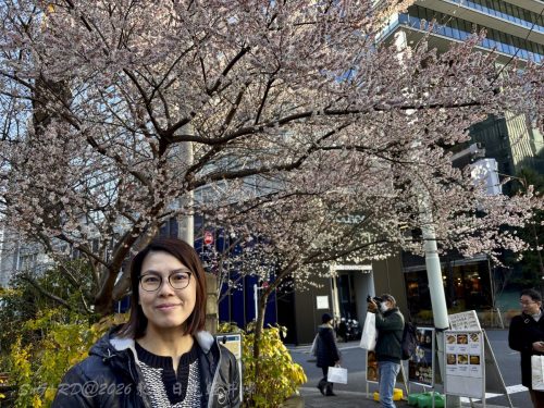 2026東京日光輕井澤 384