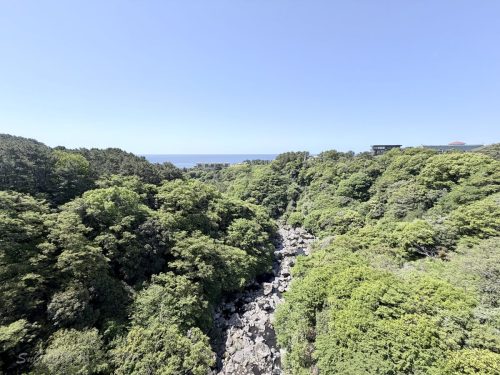 2026濟州 423