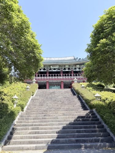 2026濟州 428